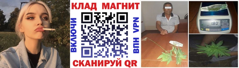 Галлюциногенные грибы Звенигово