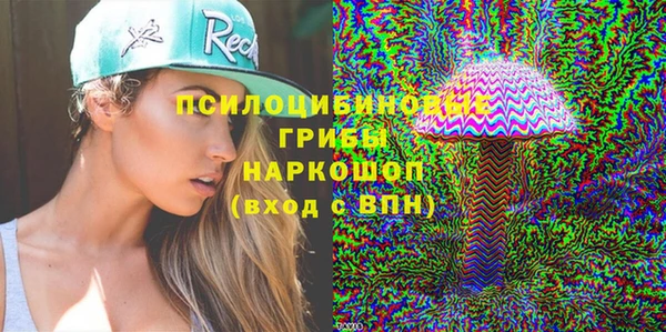 дживик Зерноград